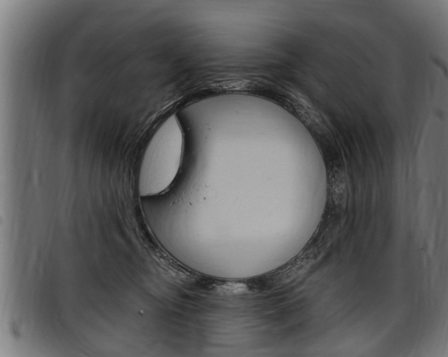 X0000098010374200803280736