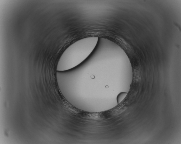 X0000098010377200803280736