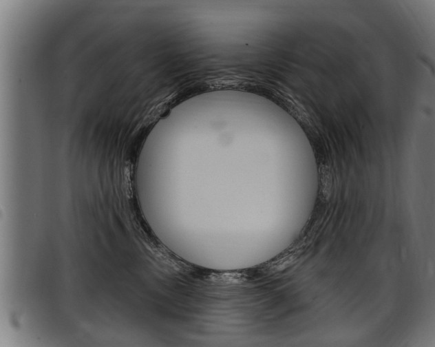 X0000098010378200803280736