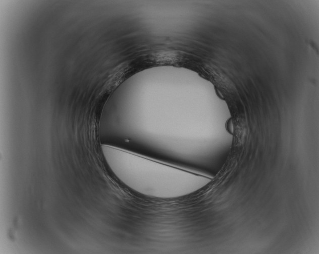 X0000098010379200803280736