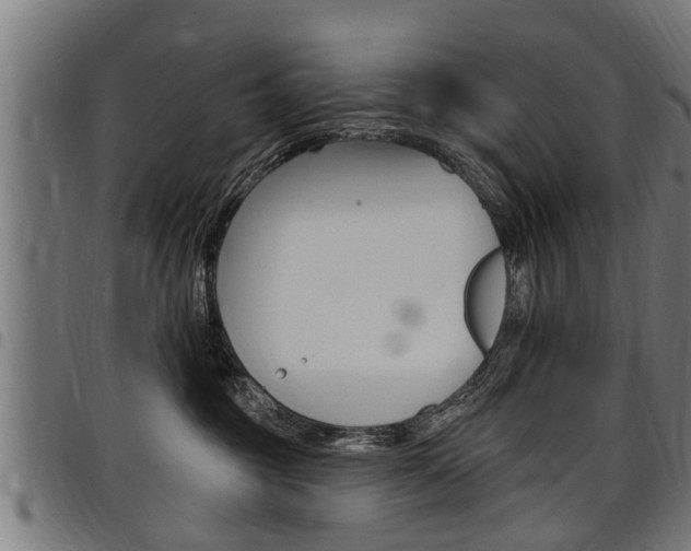 X0000098010381200803280736