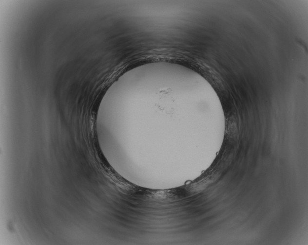 X0000098010382200803280736
