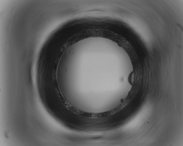 X0000098010383200803280736