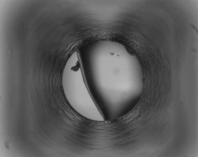X0000098010384200803280736