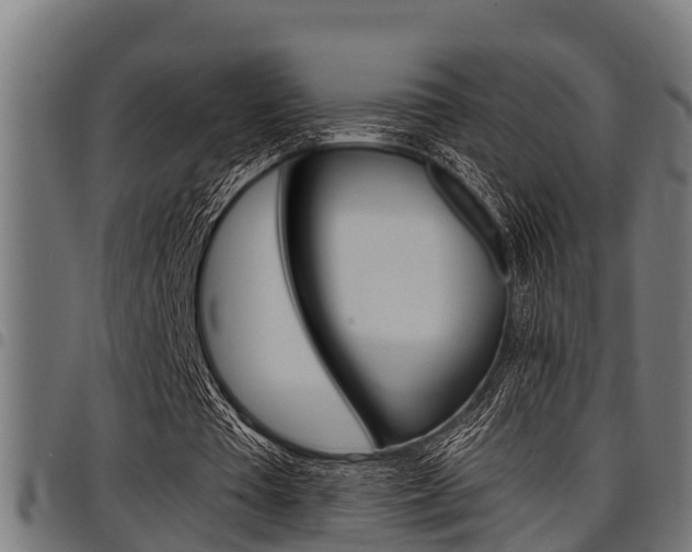 X0000098010385200803280735