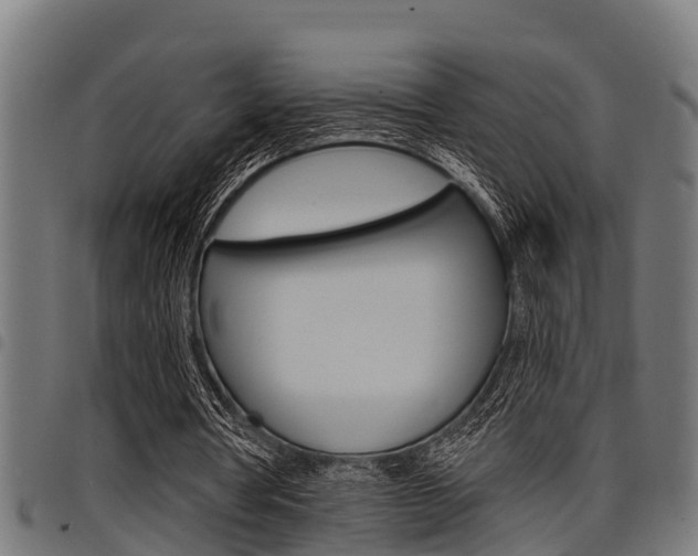X0000098010386200803280735