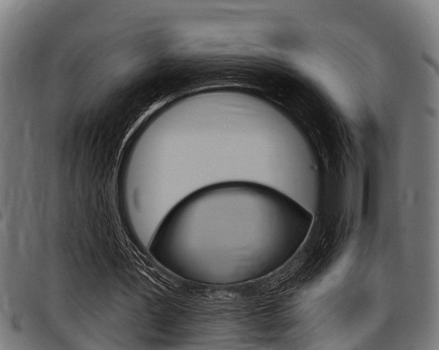 X0000098010387200803280735