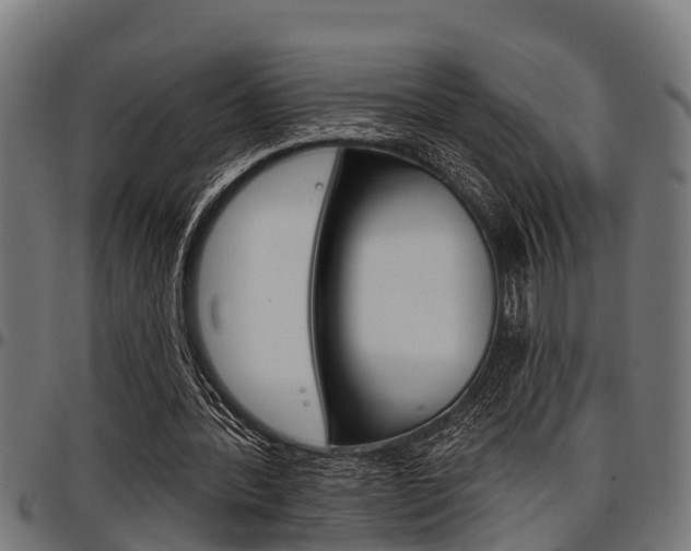 X0000098010388200803280735