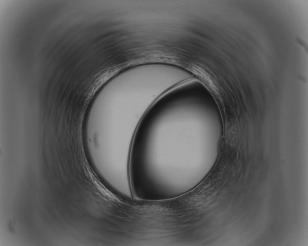 X0000098010389200803280735
