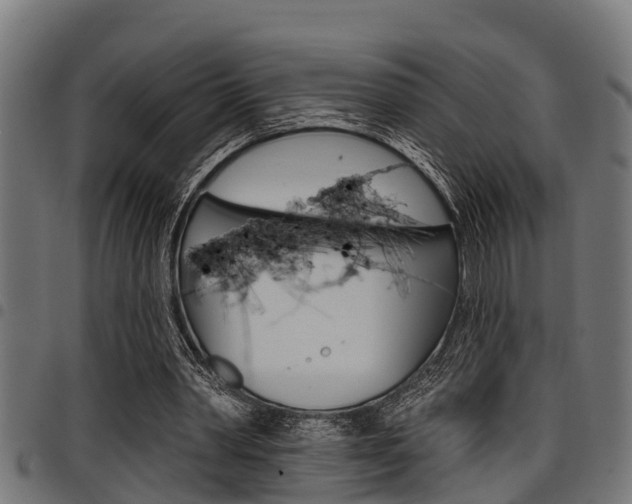 X0000098010390200803280735