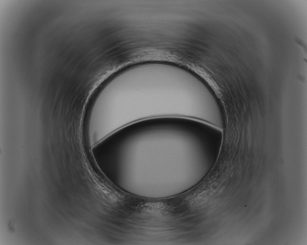X0000098010391200803280735