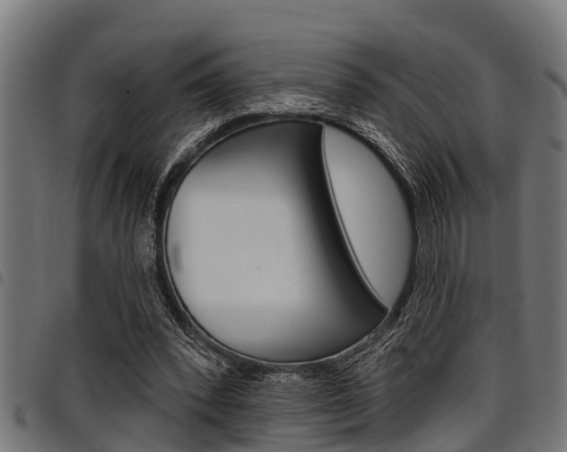 X0000098010392200803280735