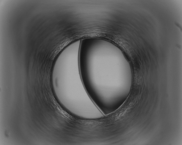 X0000098010393200803280735