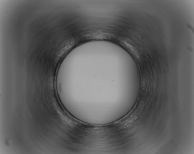 X0000098010394200803280735