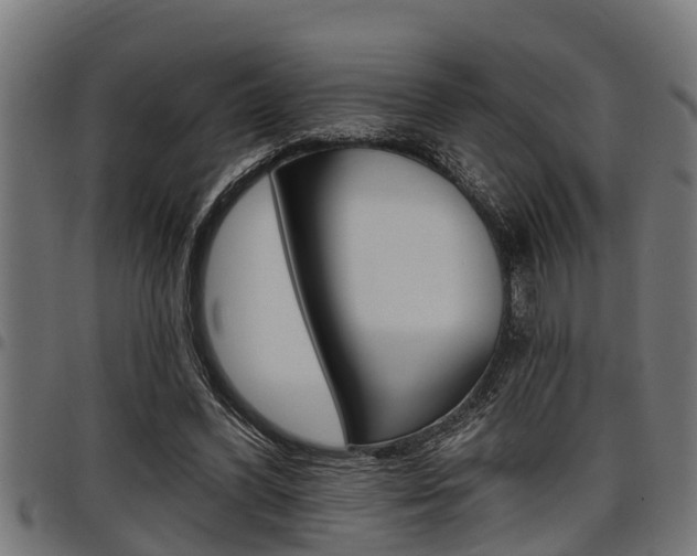 X0000098010396200803280735