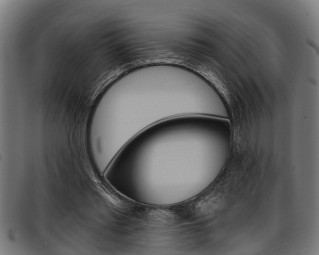 X0000098010397200803280735
