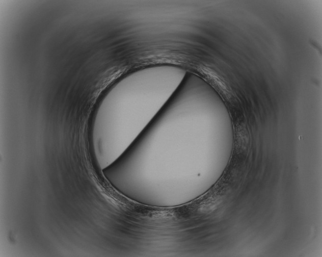 X0000098010398200803280735