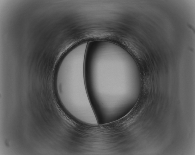 X0000098010399200803280735