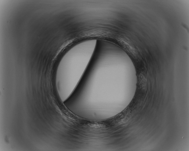 X0000098010400200803280735