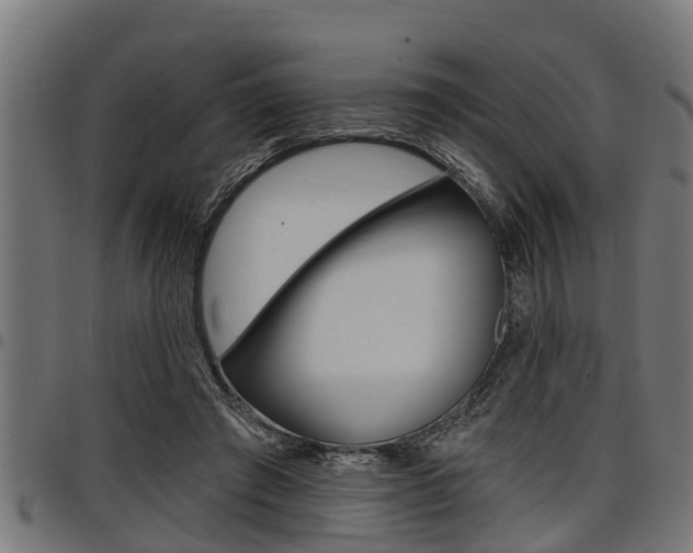 X0000098010401200803280735