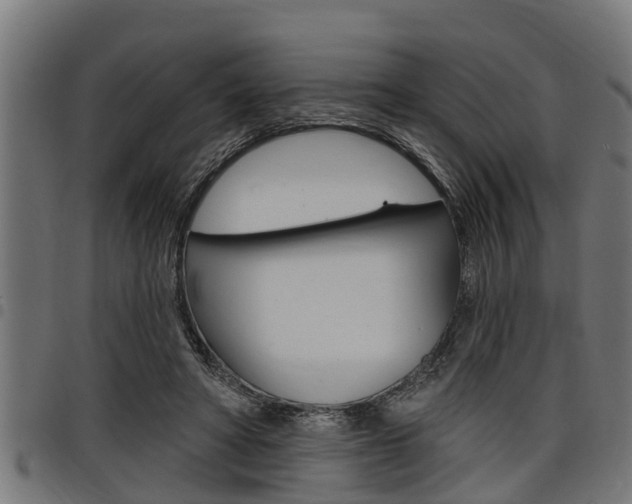 X0000098010402200803280735