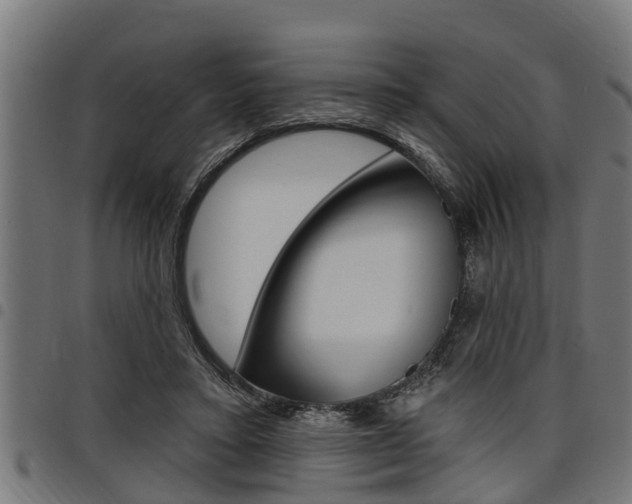 X0000098010403200803280735