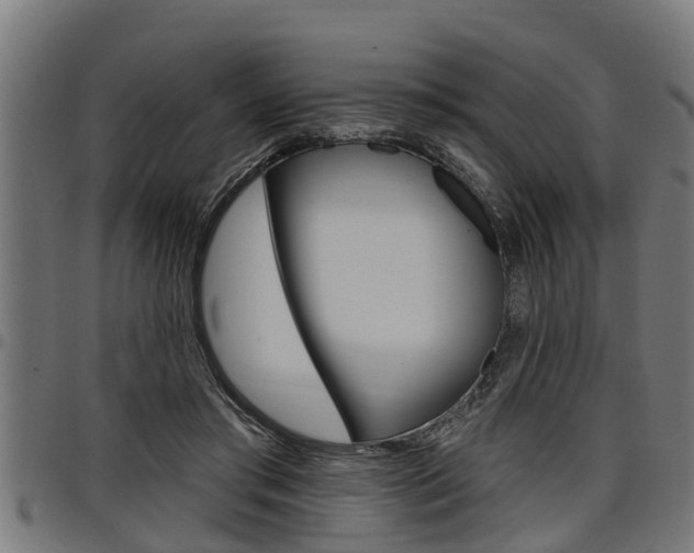 X0000098010405200803280735