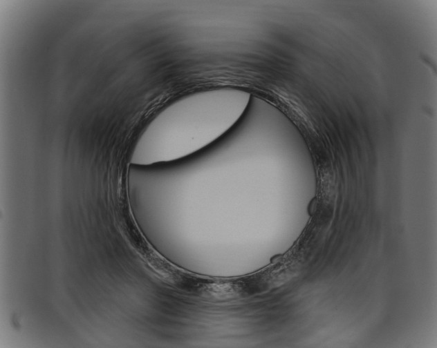 X0000098010406200803280735