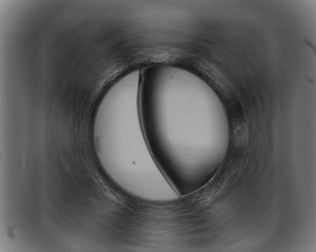 X0000098010407200803280735