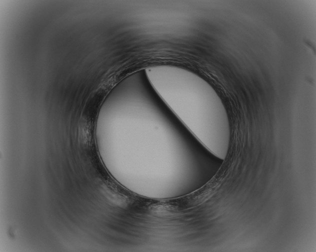 X0000098010408200803280735