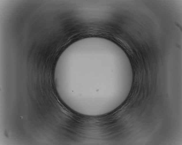 X0000098010409200803280735