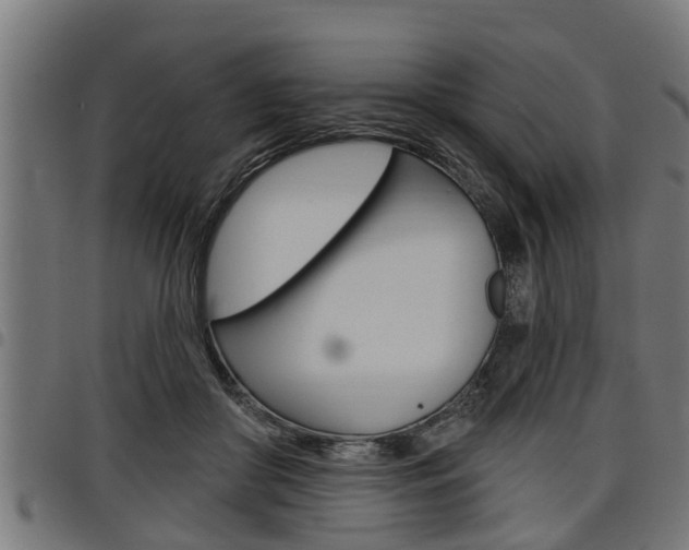 X0000098010410200803280735