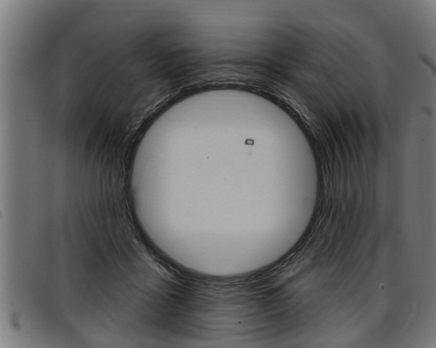 X0000098010411200803280735