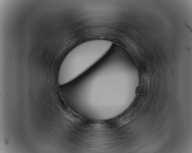 X0000098010412200803280735