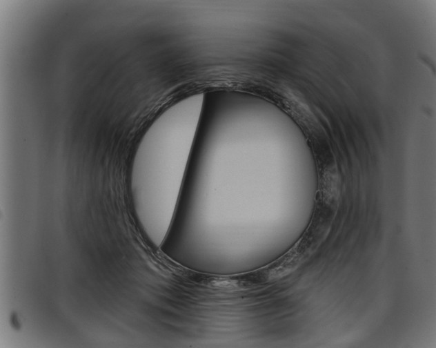 X0000098010413200803280735