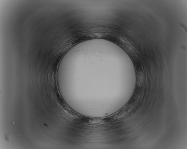 X0000098010414200803280735