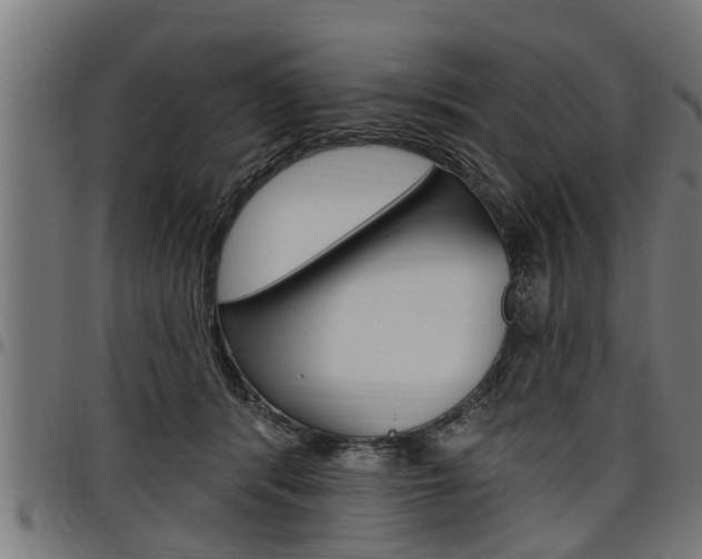 X0000098010416200803280735