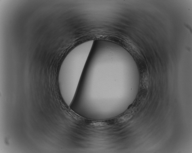 X0000098010417200803280735