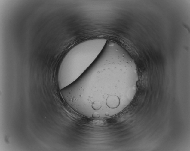 X0000098010418200803280735
