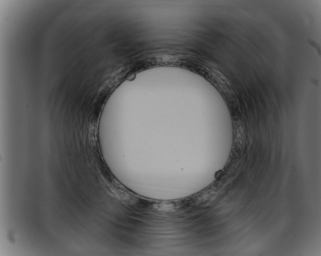 X0000098010419200803280735