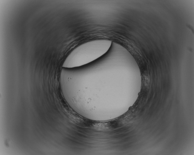 X0000098010422200803280735