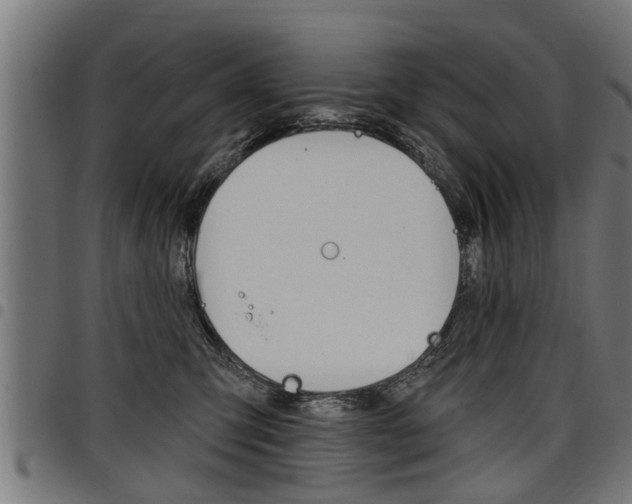 X0000098010423200803280735