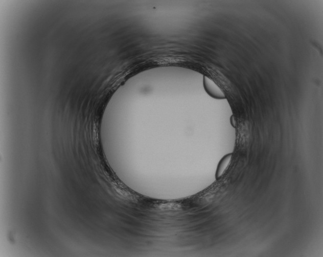 X0000098010426200803280735