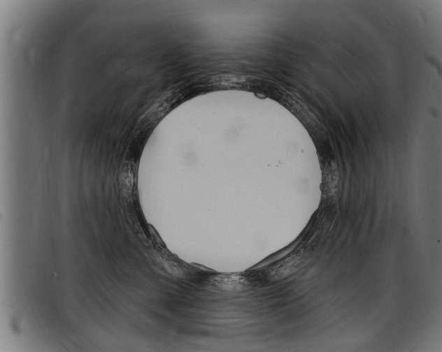 X0000098010427200803280735