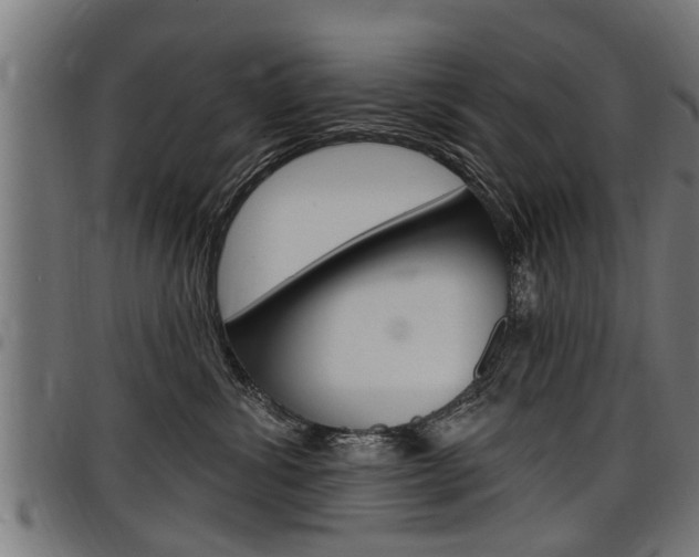 X0000098010428200803280735