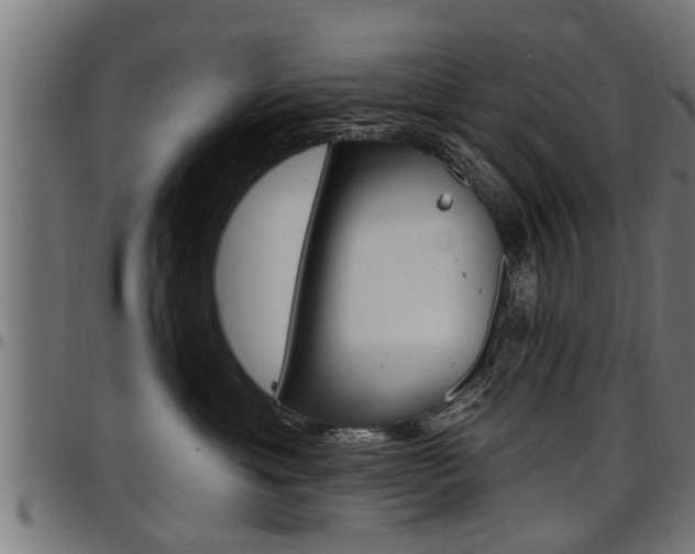 X0000098010429200803280735