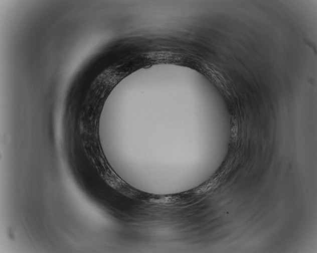 X0000098010430200803280735