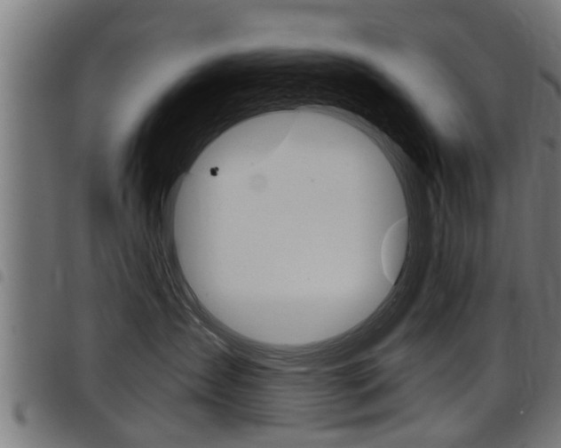 X0000098010431200803280735