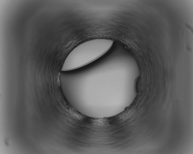 X0000098010432200803280735