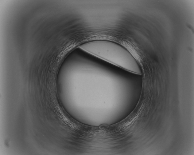 X0000098010433200803280734
